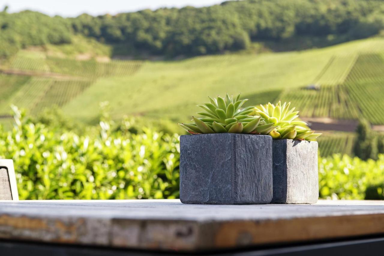 Weingut & Gaestehaus Christoph Cluesserath Trittenheim Exteriör bild